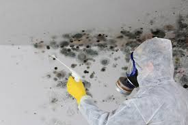 Best Biohazard Mold Removal  in Raynham Center, MA